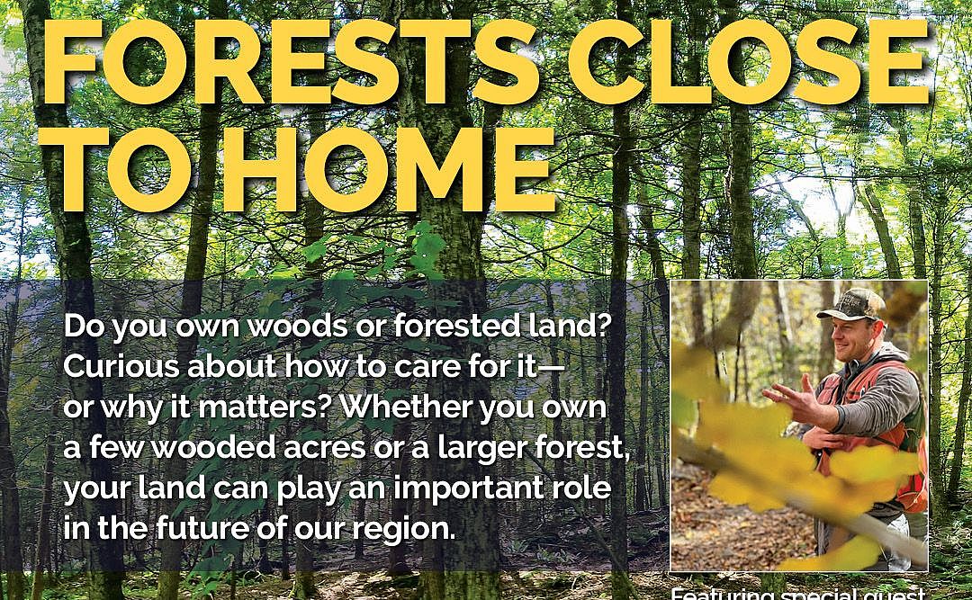 Forests Close to Home