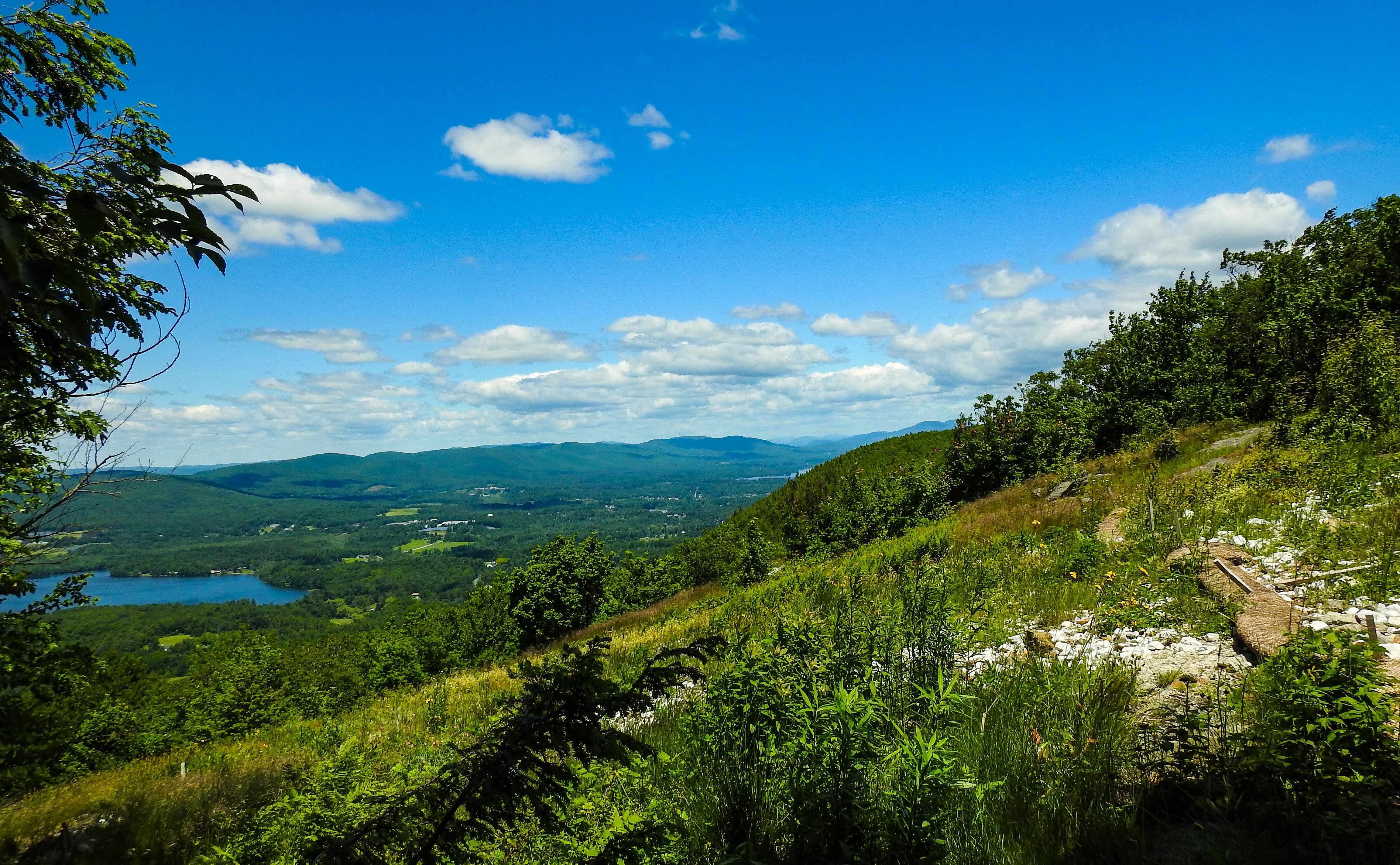 OLLI & BNRC Joint Hike