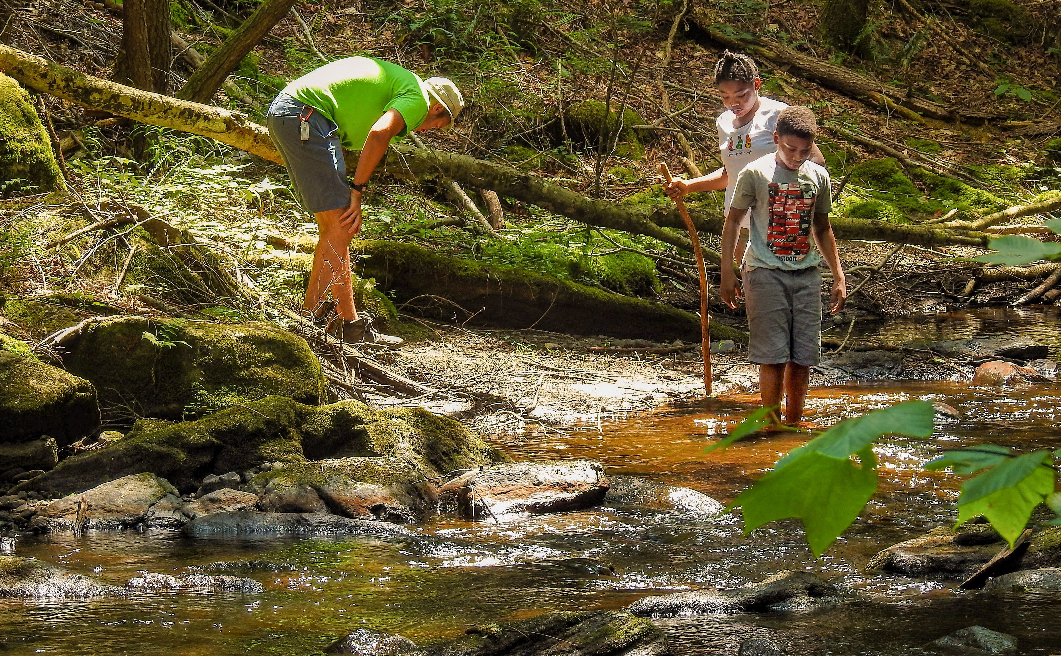 OLLI & BNRC Joint Hike