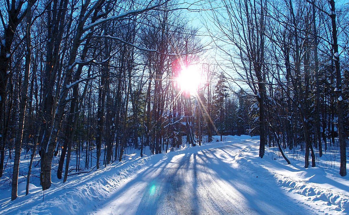 OLLI & BNRC Joint Hike