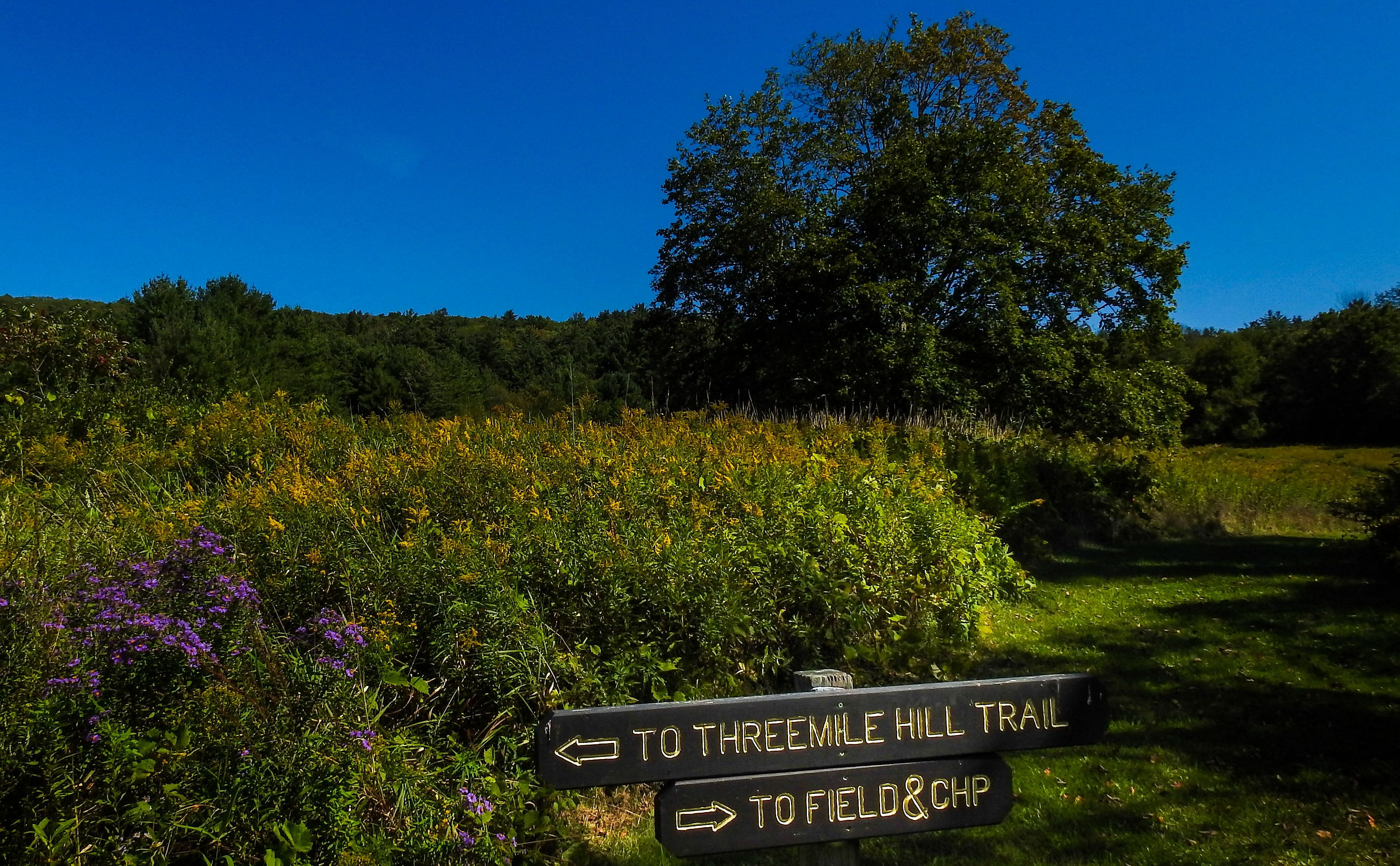 OLLI & BNRC Joint Hike