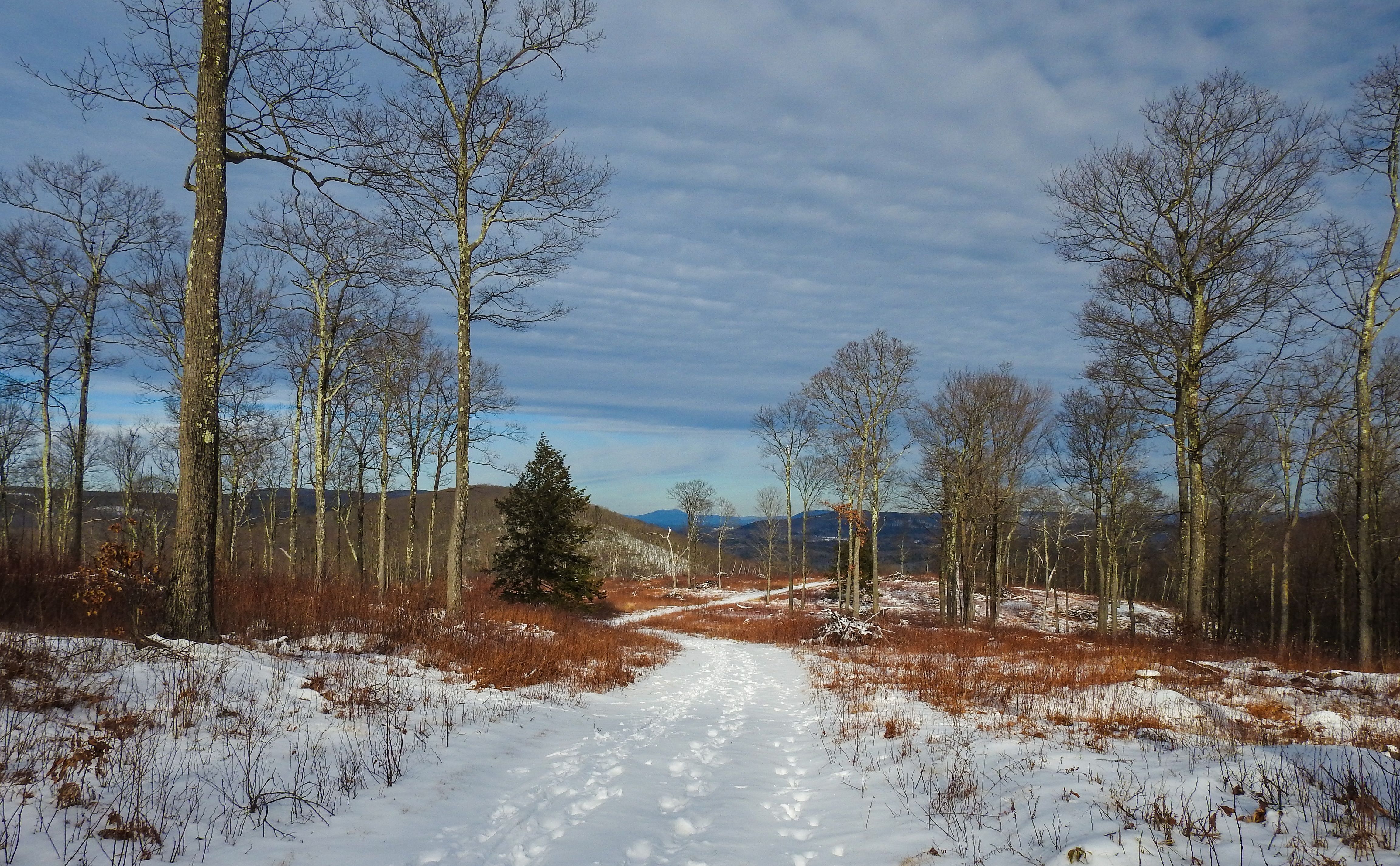 OLLI & BNRC Joint Hike