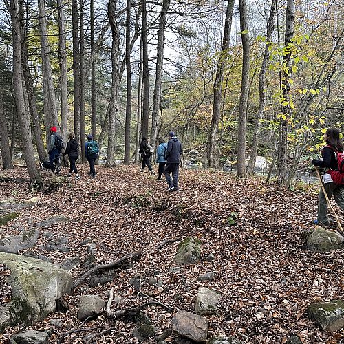 Let’s hit the trails! 🥾 Today is National Hiking...